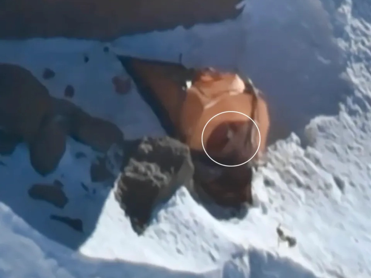 ВИДЕО: Киргизстаны ууланд осолдсон Оросын уулчны хүү, "ээж минь амьд байна" гэсэн бичлэгийг нийтэлжээ