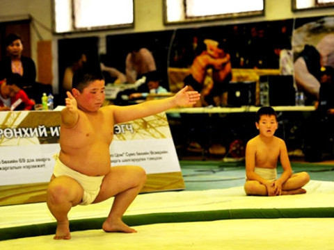 "Tokusegawa U-15 sumo cup 2025” тэмцээн болно