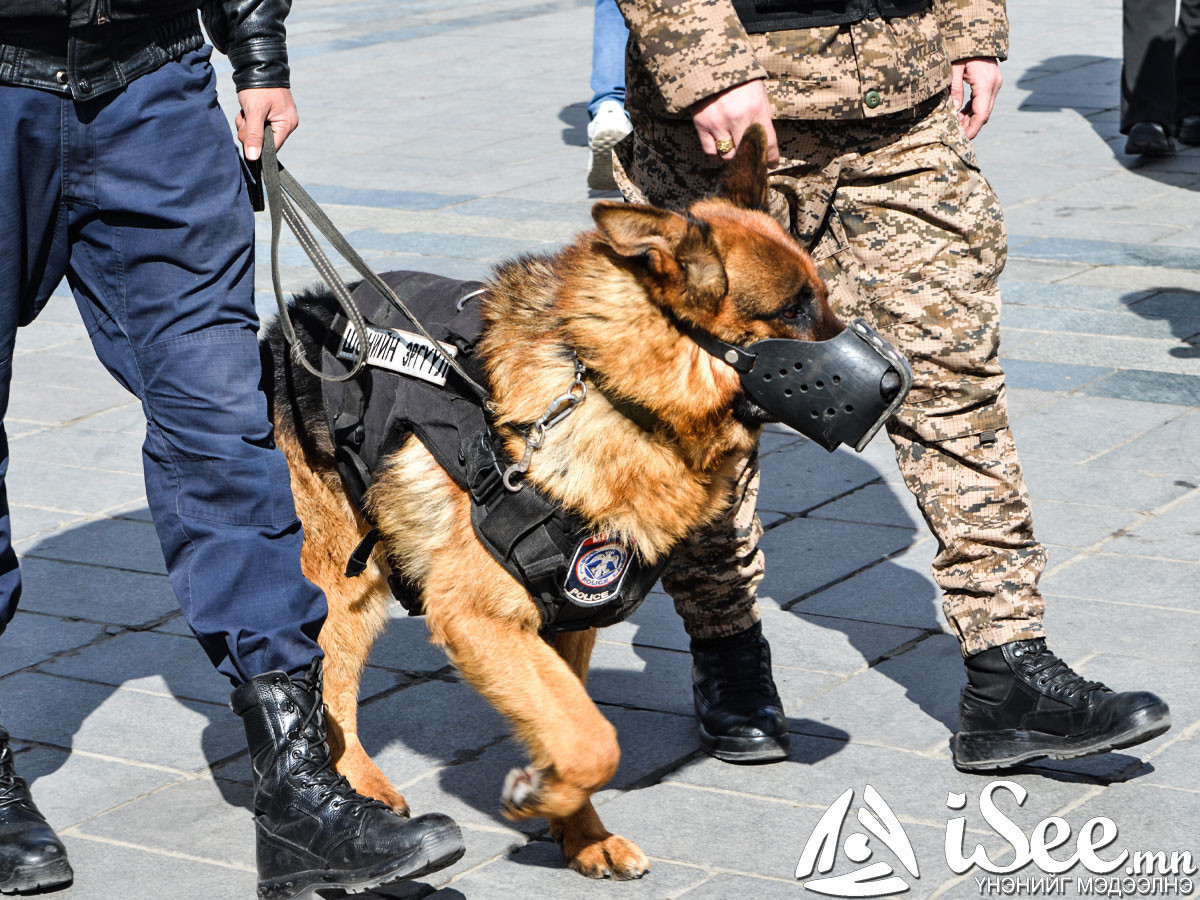 Бусдын гар утсыг нь хулгайлж, данснаас нь 10 сая төгрөг бусад руу шилжүүлсэн байжээ