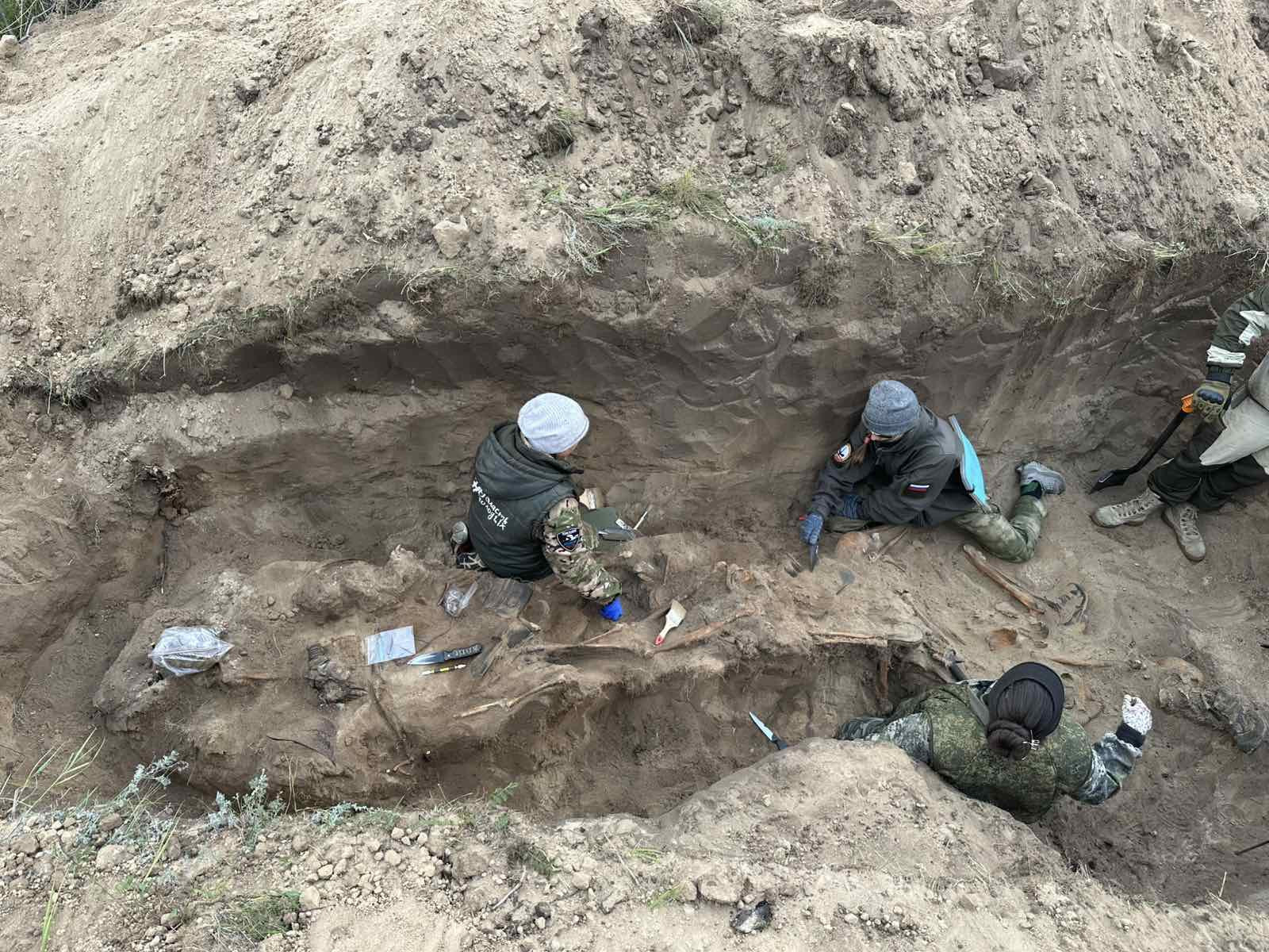 Хамтарсан хайгуулын экспидиц нийт 42 цэргийн шарилыг илрүүлж, 217 ширхэг дэлбэрэх зэвсгийг аюулгүй болгожээ