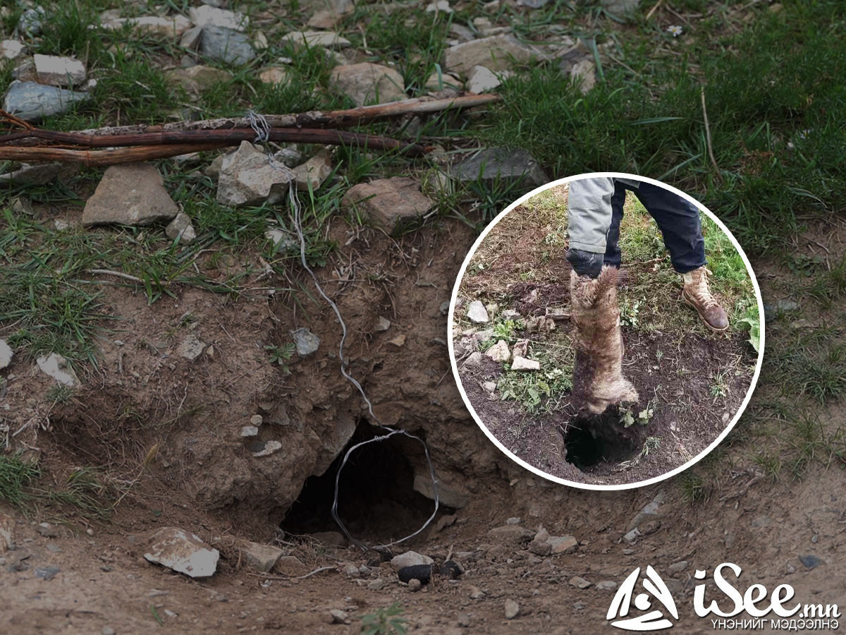 Ховд аймгийн Булган суманд тарваган тахал өвчний сэжигтэй тохиолдол бүртгэгдэж, хязгаарлалтын дэглэм тогтоожээ