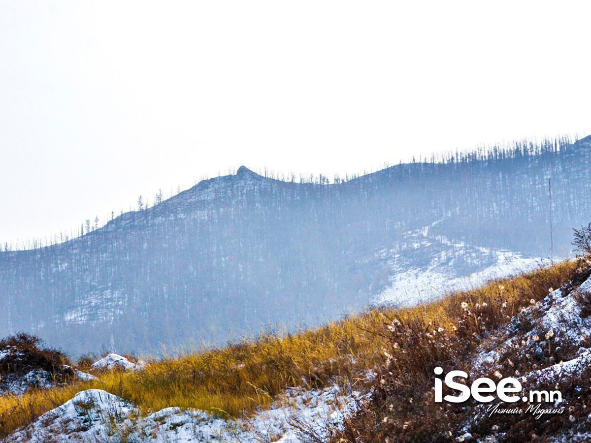 Нийт нутгийн 23 хувьд цастай байна