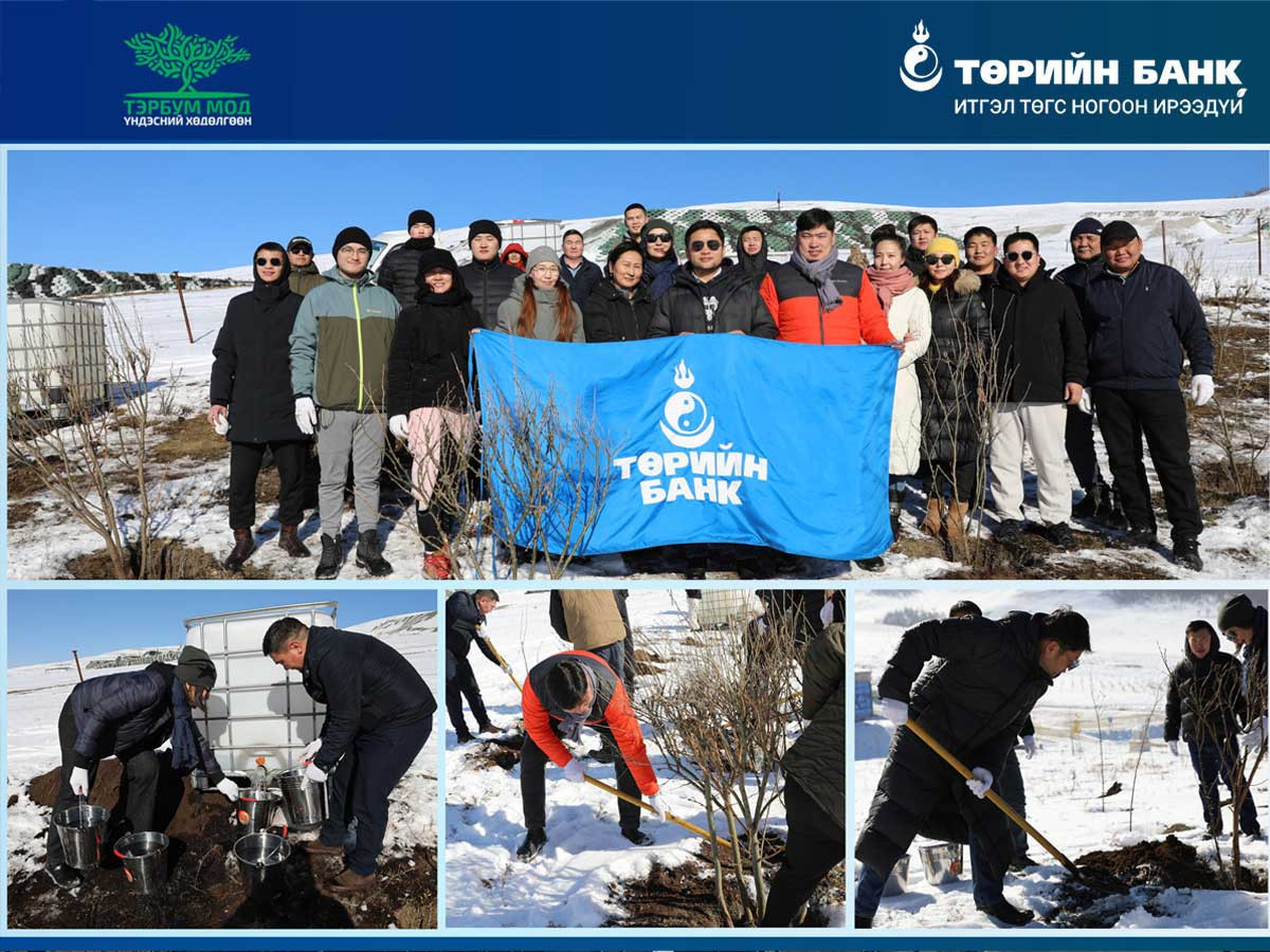 Төрийн банкны хамт олон Таширын аманд мод тарилаа