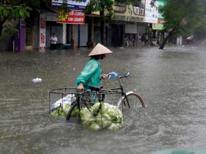 ТОДРУУЛГА: Вьетнам улсад манай улсын 80 гаруй иргэн амьдардаг бөгөөд тэд байгалийн гамшигт өртсөн талаарх мэдээлэл бүртгэгдээгүй
