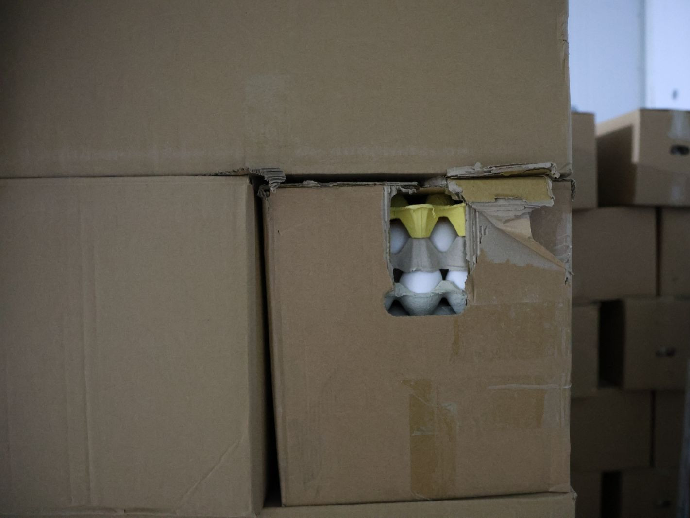 Гарал үүсэл нь тодорхойгүй өндөг борлуулсан ААН-ийг 20 сая төгрөгөөр торгожээ