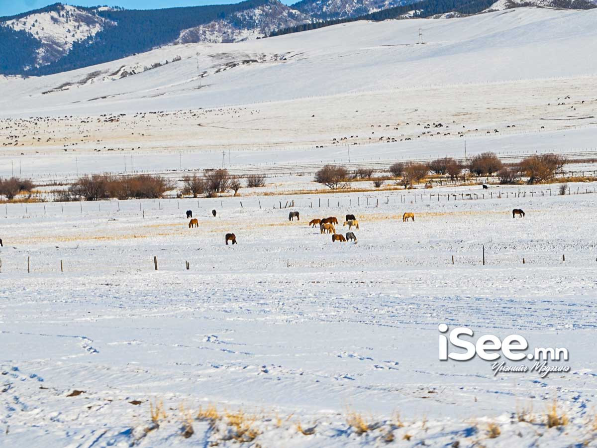 Ирэх долоо хоногт хүйтний эрч хэвээр хадгалагдаж, ихэнх нутгаар цаг агаар тогтуун байна