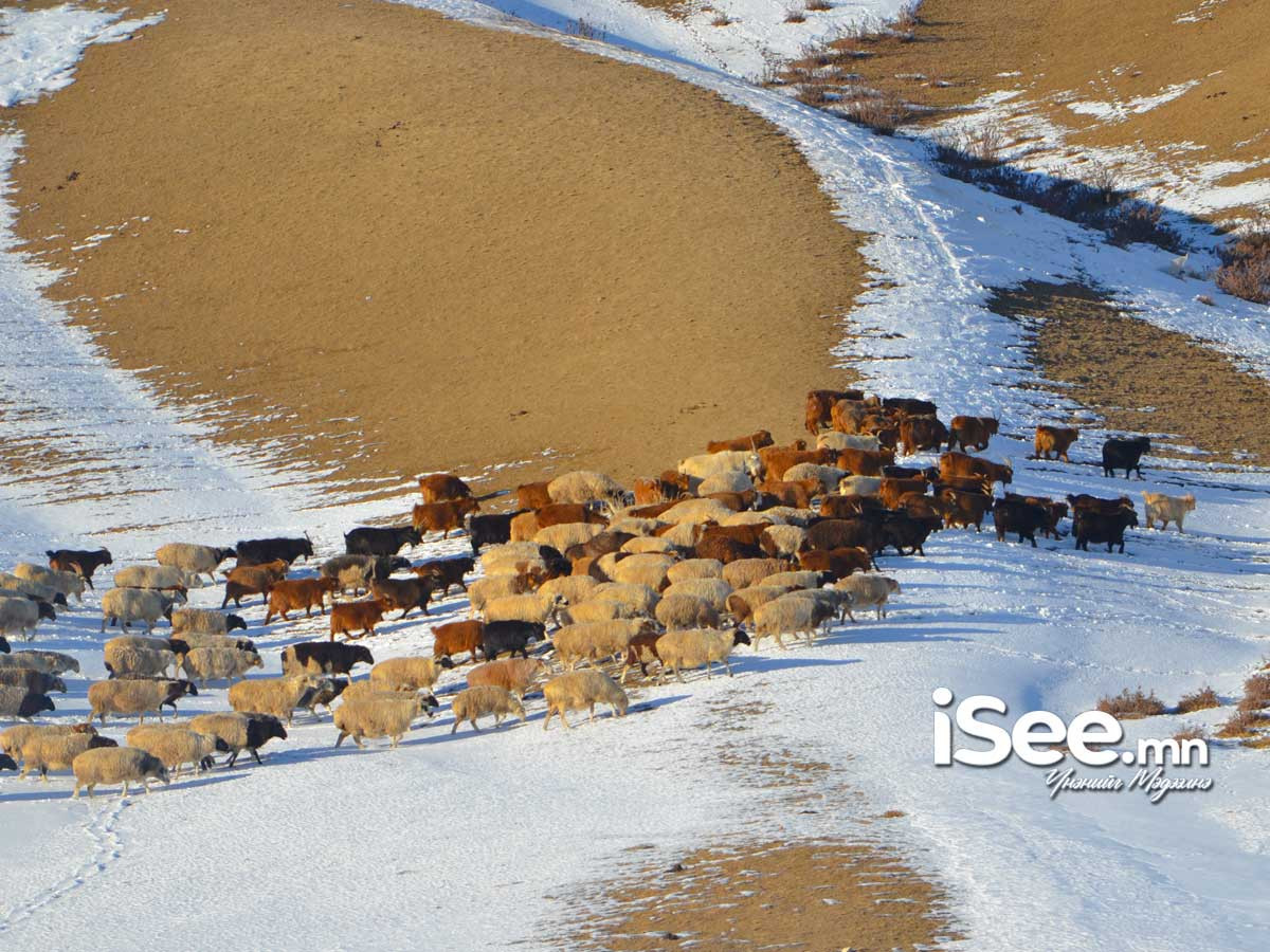 Улаанбаатарт цас орохгүй, 2 градус хүйтэн байна