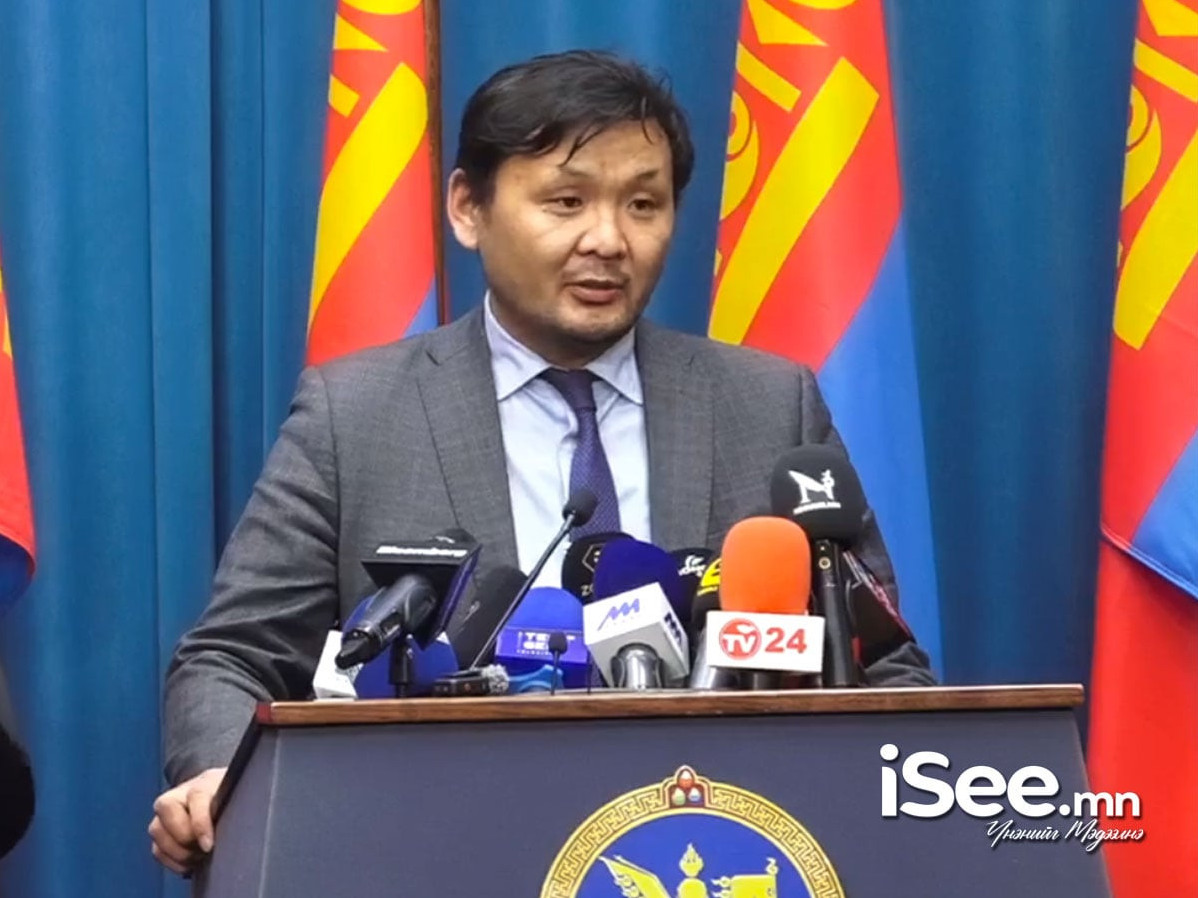 Н.Цэрэнсамбуу: Гадаадын хөрөнгө оруулалтаар Бор тээгийн ордыг эдийн засгийн эргэлтэд оруулна