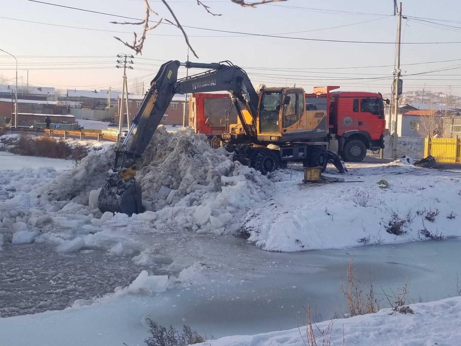 Нийслэлийн гурван байршилд халиа үүсжээ
