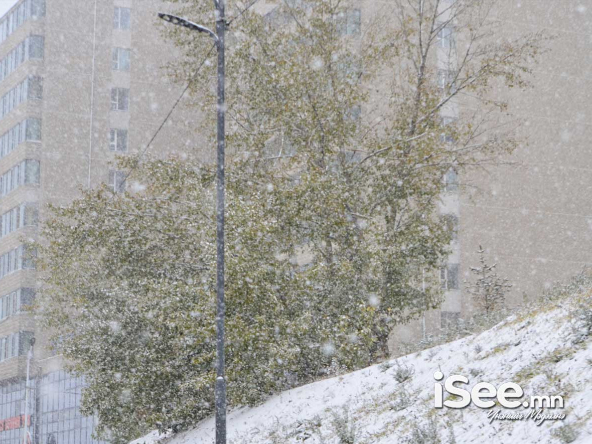 Өглөөний 08:00 цагийн байдлаар дөрвөн аймгийн 14 суманд цас орж байна