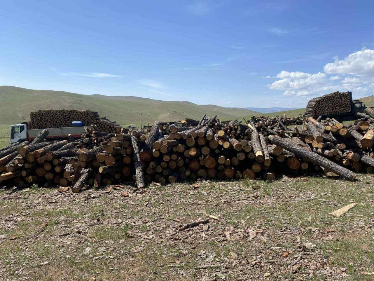 Ой, ойн дагалт баялгийн чиглэлээр урьдчилан сэргийлэх хяналт шалгалт хийж, 509 зөрчил илрүүлжээ