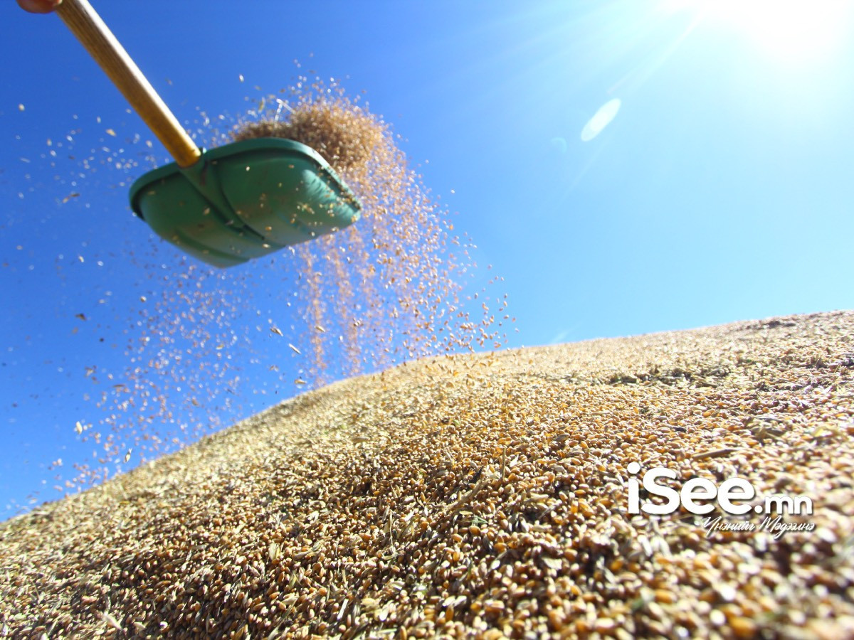 Тариаланчдын зээлийн эргэн төлөлтийг зургаа хүртэлх сараар хойшлуулахаар болжээ