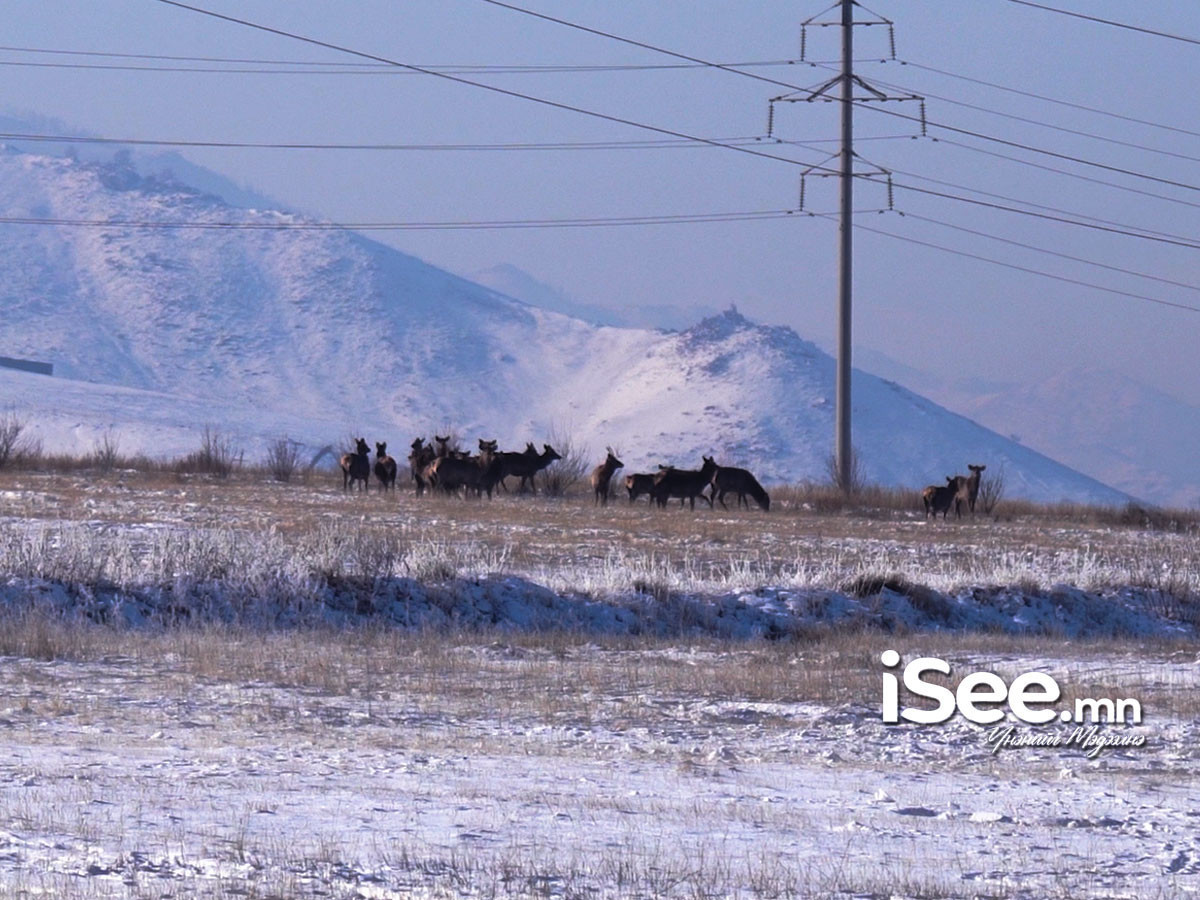 Монголоос өөр хэл дээр нэрлэгдэж буй газар зүйн нэрийг шинэчилж батлуулна