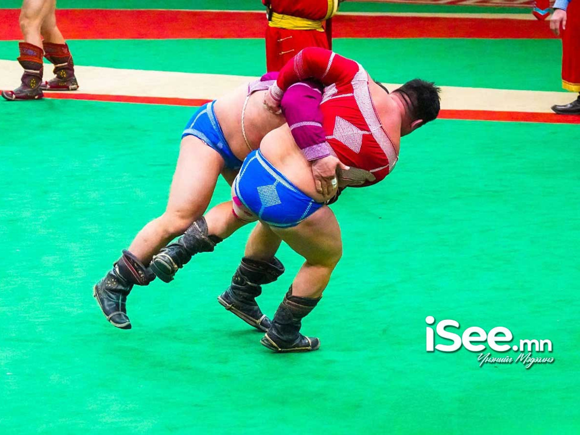 ТАНИЛЦ: Ерөнхийлөгчийн цомын төлөөх барилдаанд түрүүлж, үзүүрлэж байсан бөхчүүд