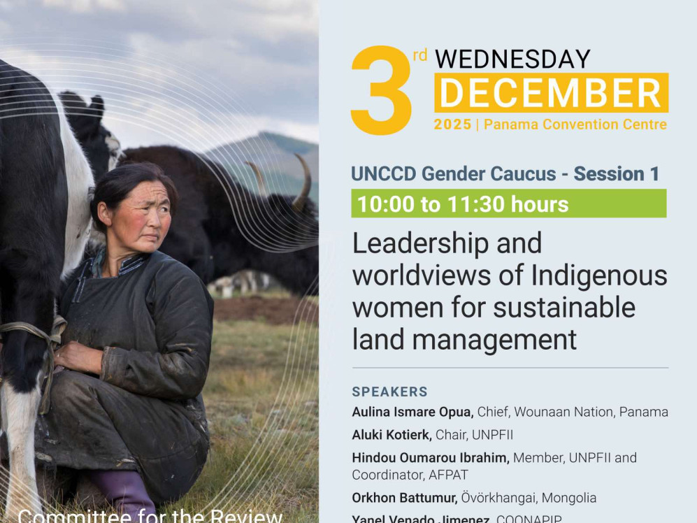 COP17 Малчин монгол эмэгтэй цөлжилтийн сүүдрийг дэлхийд дуулгалаа 