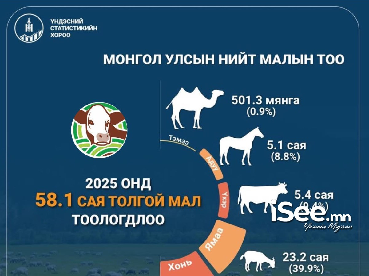 Энэ жил нийт 58.1 сая толгой мал тоологдсон бол үүний 46.9 саяыг хонь, ямаа эзэлж байна