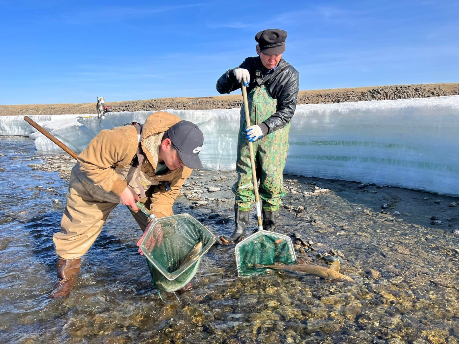 Туул голд 90 мянган зэвэг загасны жараахайг тавилаа 
