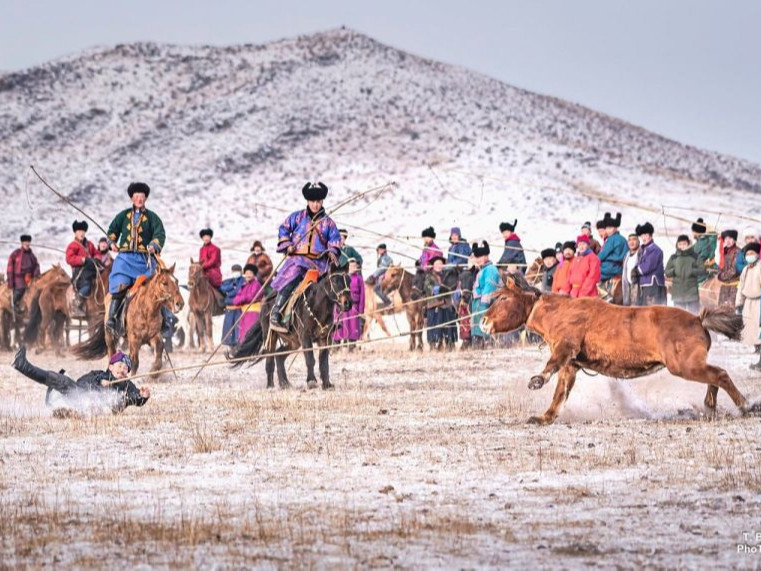 “Талын жавхаа-2026” адуун соёлын өдөрлөг болно