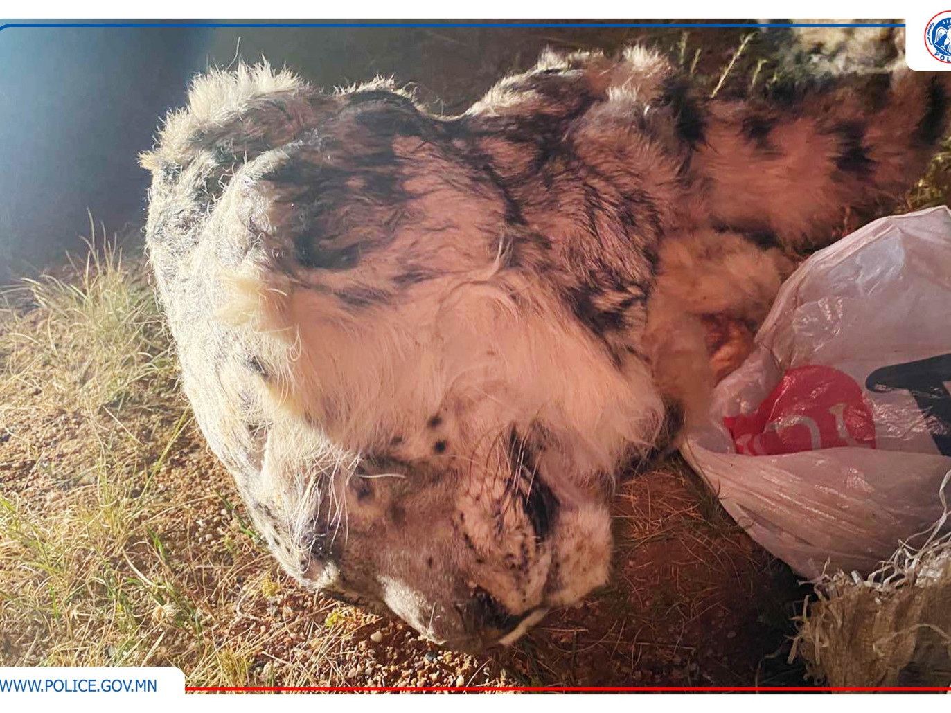  “Аянга-2025” тусгай арга хэмжээг зохион байгуулж байна