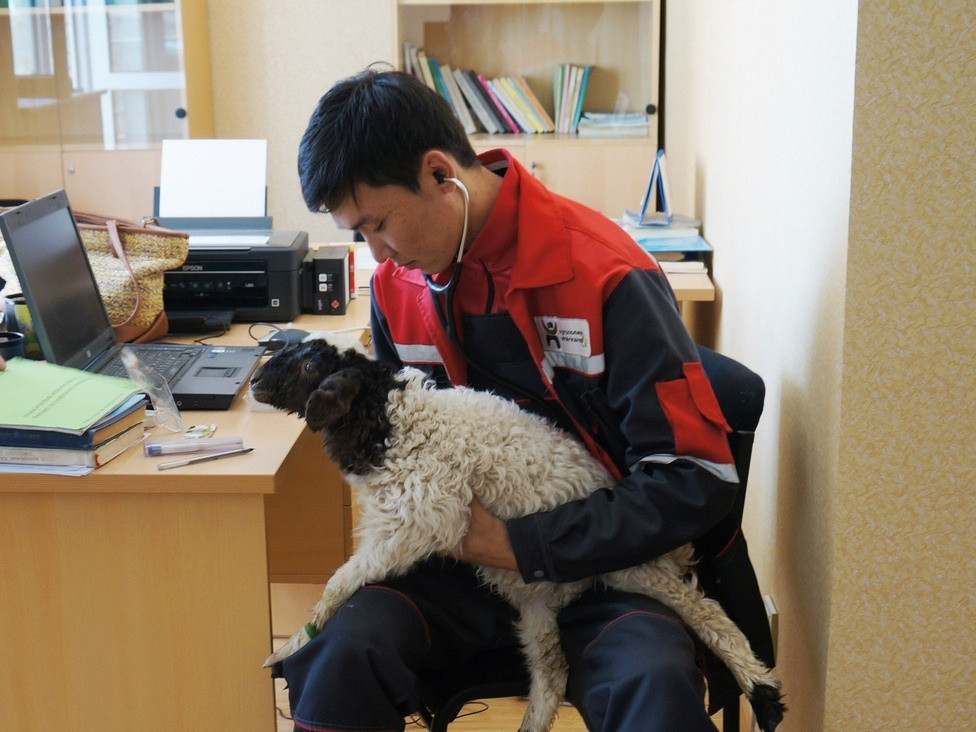 Мал эмнэлгийн салбарын ажилчид ирэх даваа гарагт жагсана  