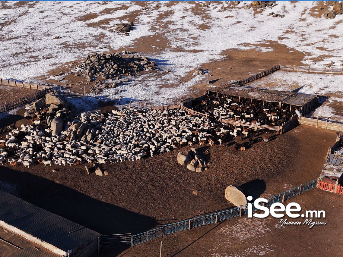 Нутгийн зүүн хэсгээр салхитай, сэрүүхэн байна 