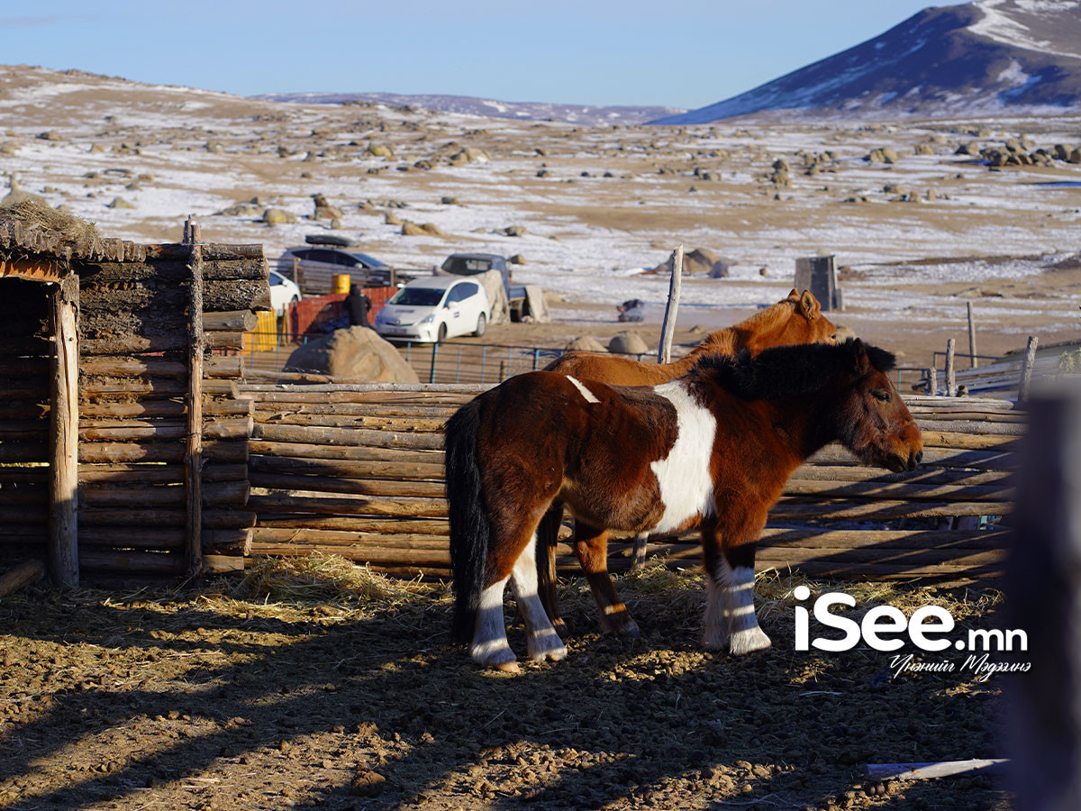 Нутгийн баруун өмнөд хэсгээр бороо, нойтон цас орно 