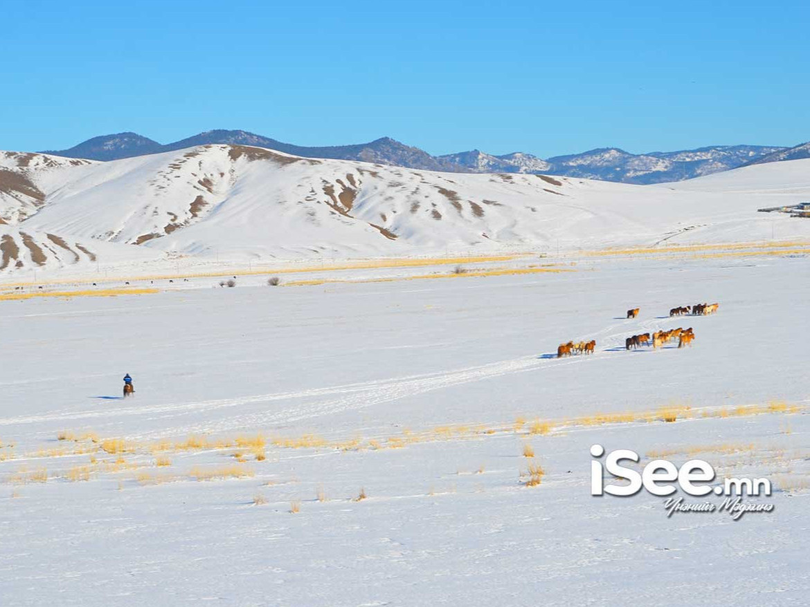 СЭРЭМЖЛҮҮЛЭГ: Өнөөдрөөс эхлэн ихэнх нутгаар цас орж, цасан шуурга шуурна