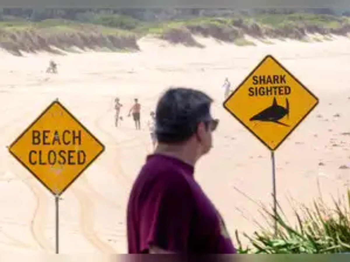Австралийн эргийн бүсэд акулын дайралт нэмэгдсэн тул наран шарлагын газруудыг тодорхойгүй хугацаагаар хаажээ