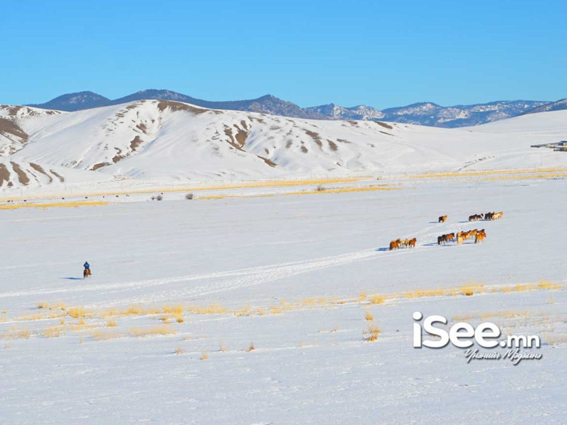 ЦУОШГ: Хоёрдугаар сард нийт нутгаар олон жилийн дунджаас хүйтэн байна