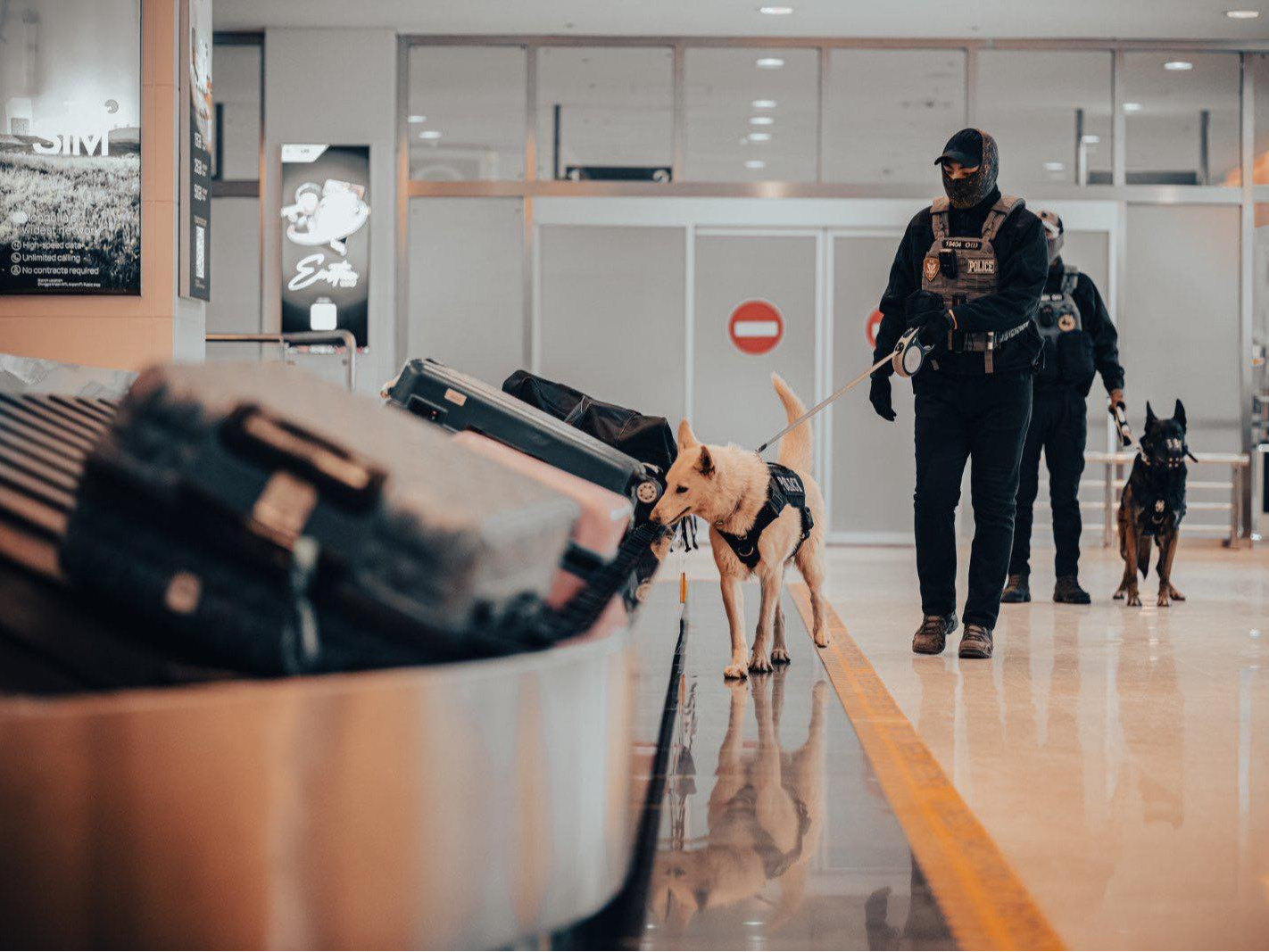 "2026–2030 онд мансууруулах бодистой холбоотой гэмт хэрэг, зөрчлийн эрсдэл өсөх хандлагатай байна" гэв