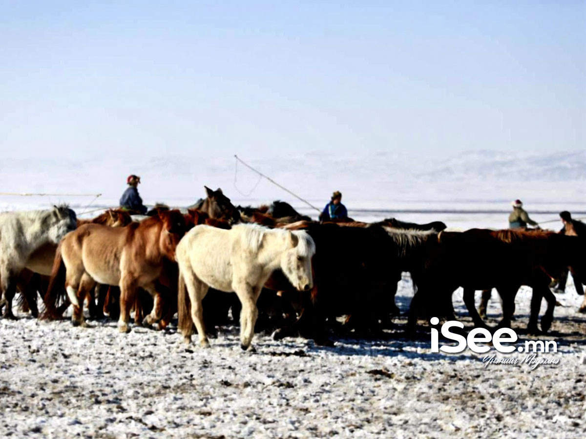 Тусгай хамгаалалттай газар нутагт мал нэвтрүүлэхгүй байхыг анхаарууллаа