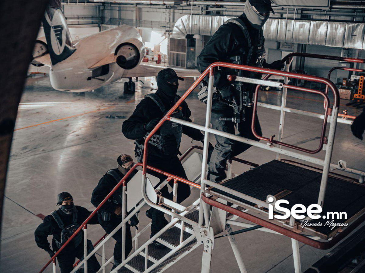 Мансууруулах үйлчилгээтэй олсны ургамлыг хууль бусаар түүж бэлтгэсэн этгээдэд холбогдох хэрэгт прокуророос яллах дүгнэлт үйлджээ