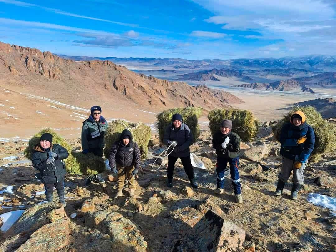Баян-Өлгий аймгийн Буянт сумын эко клубын сурагчид боодолтой өвс үүрч, нутгийнхаа ховор амьтдад тавьж өгчээ