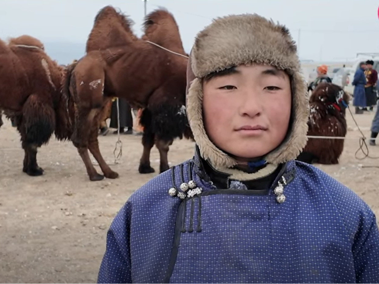 "Их говийн эзэн" баримтат киноны гол дүр Н.Бэхи хүү "Тэмээний баяр"-т оролцжээ /ВИДЕО/