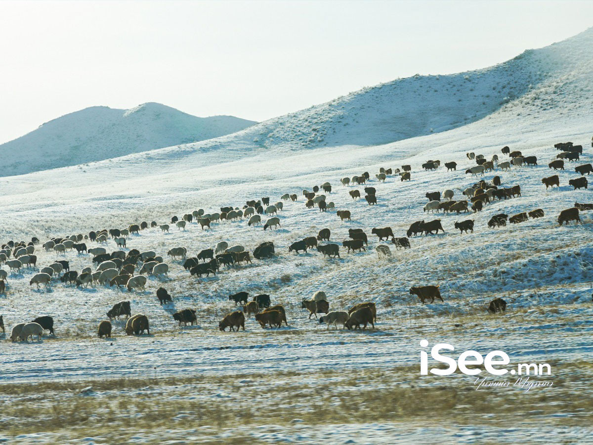 Ирэх III, IV, V сард нийт нутгаар хур тунадас багатай, дулаан байна 