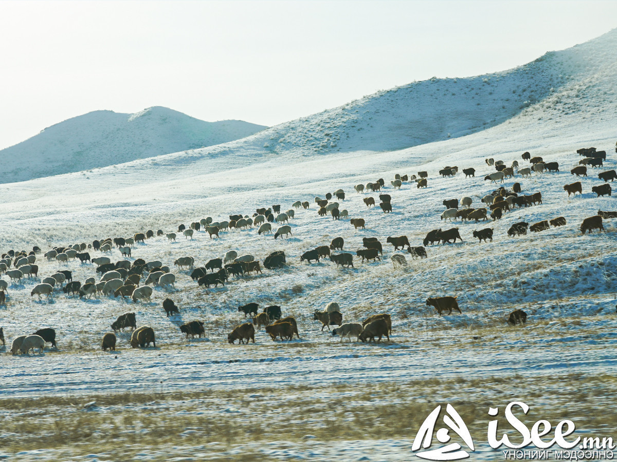 Ирэх III, IV, V сард нийт нутгаар хур тунадас багатай, дулаан байна 