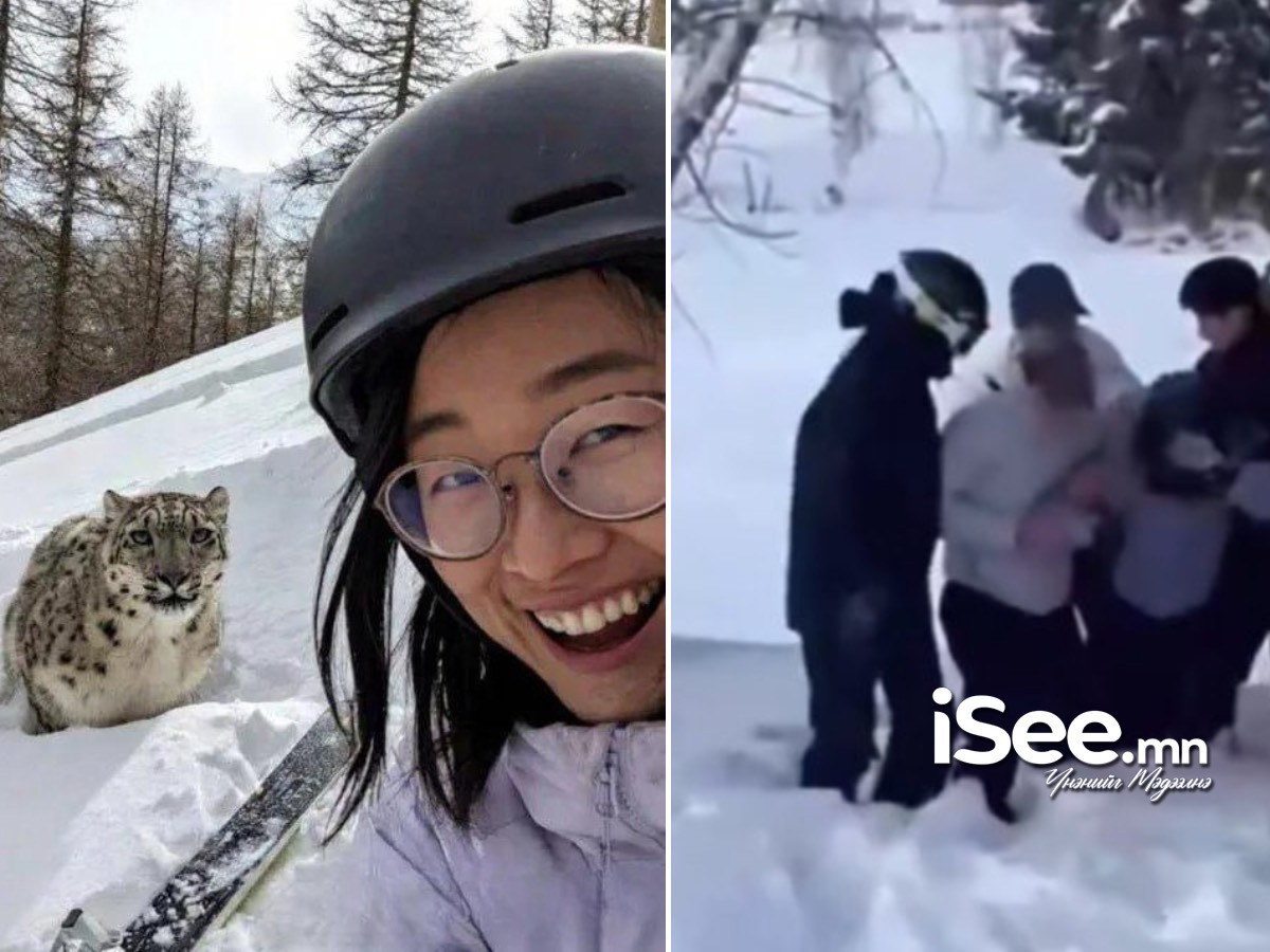 ВИДЕО: Селфи хийх гэж байсан эмэгтэй рүү цоохор ирвэс дайрч, гэмтээжээ