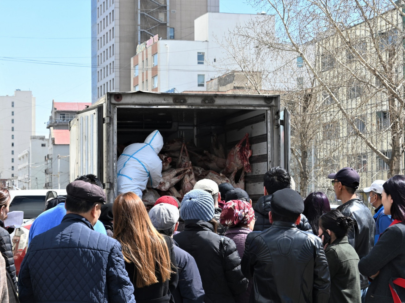 Нөөцийн хонины махыг гулуузаар нь зарж эхэллээ 