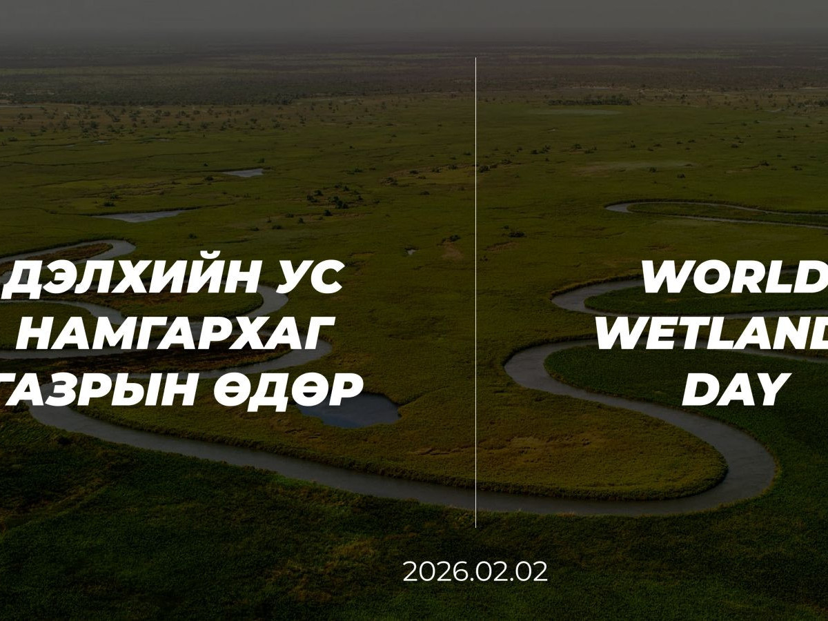 COP17: Ус намгархаг газрын өдрөөр соёлын өвийн үнэ цэнийг онцлов