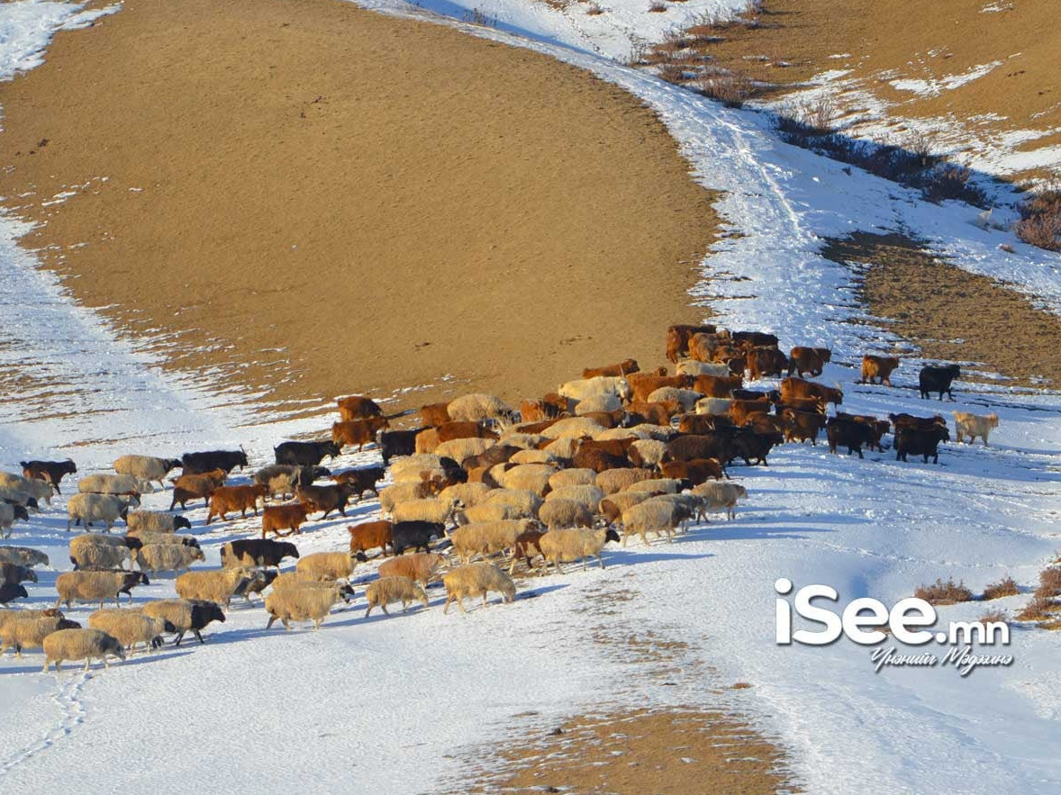 Цасан бүрхүүлийн хэмжээг өмнөх арван хоногтой харьцуулахад 14 хувиар буурсан байна