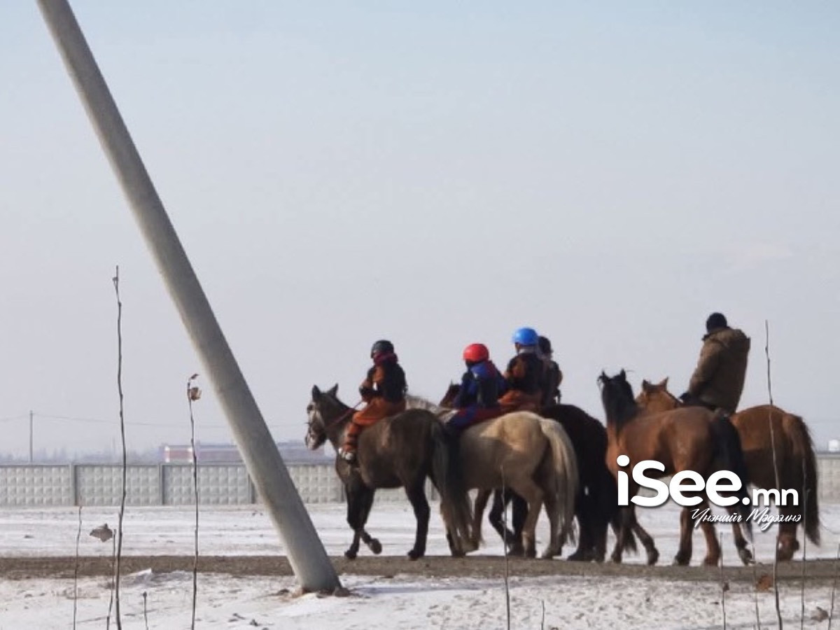 Жороо морины уяач, шагайн харваачдад улсын цол олгох саналыг Ерөнхийлөгчид өргөн мэдүүлэхээр болжээ