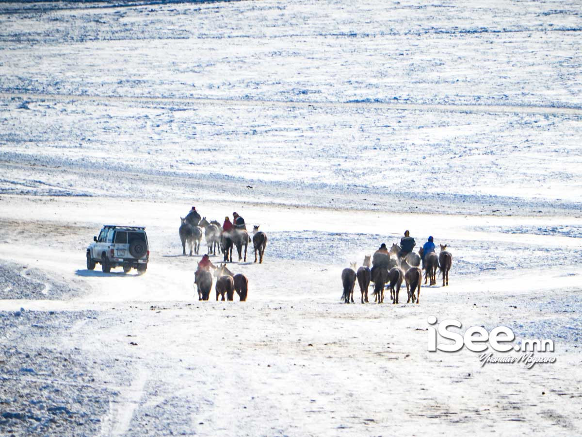СУРВАЛЖИЛГА: Өвөл, хаврын уралдааныг хориглосноос болж уяачид Өвөрмонголд очиж, морь уях болжээ
