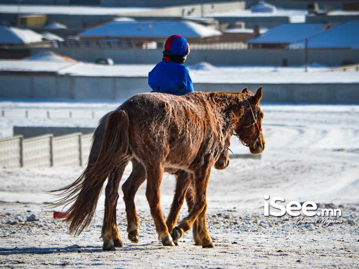 Дөрвөн настай хүүхэд мориноос унаж харамсалтайгаар амиа алджээ 
