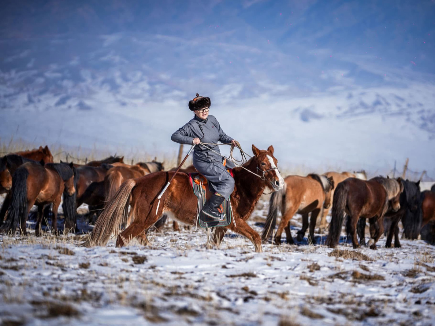 Өвлийн хүйтэнд дан дээл, зандан ташууртайгаар адуу хариулж буй УИХ-ын гишүүн Э.Болормаагийн зураг шүүмжлэл дагуулав
