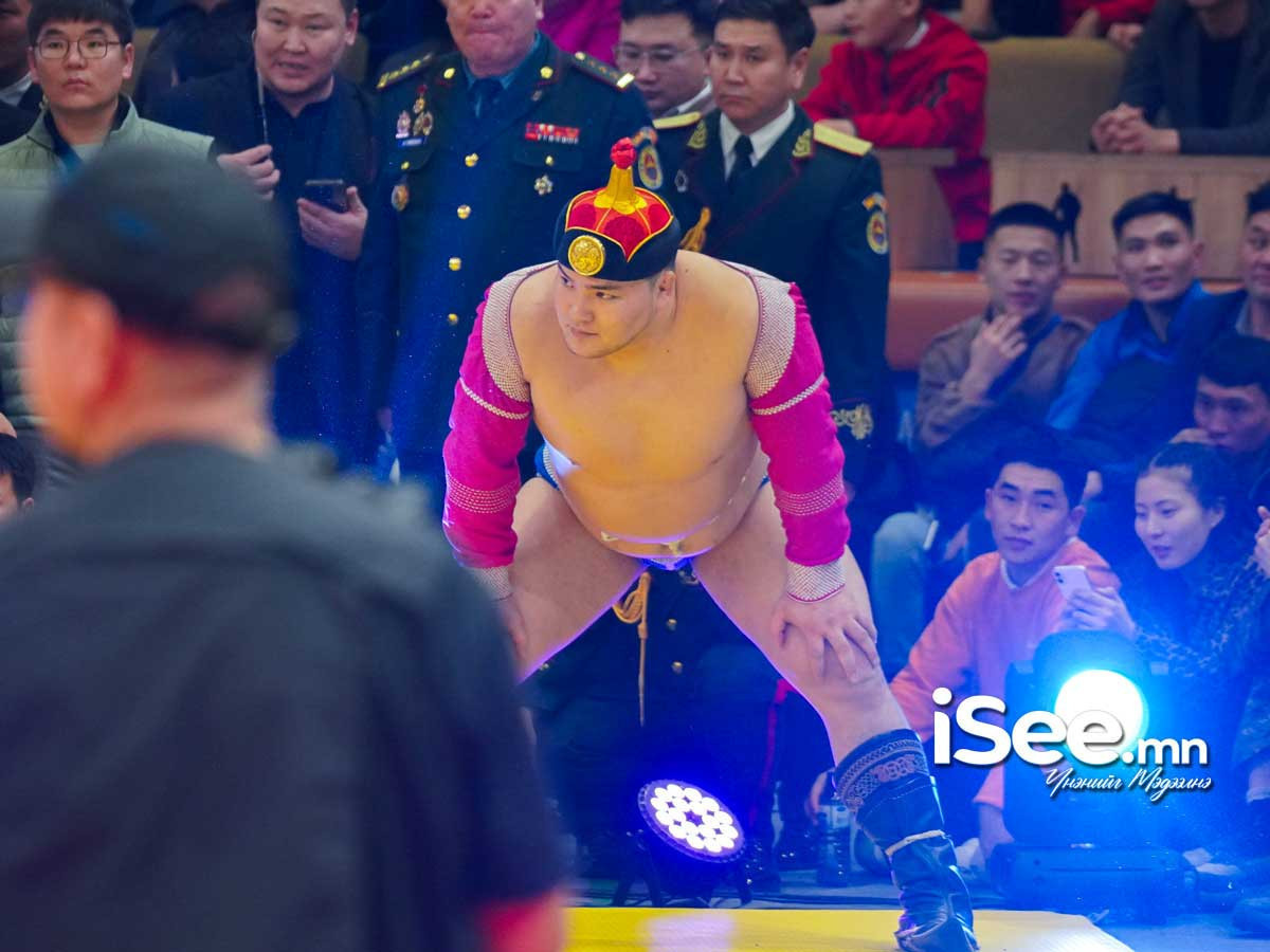 Морь жилийн эхний барилдаан энэ сарын 27-нд болно