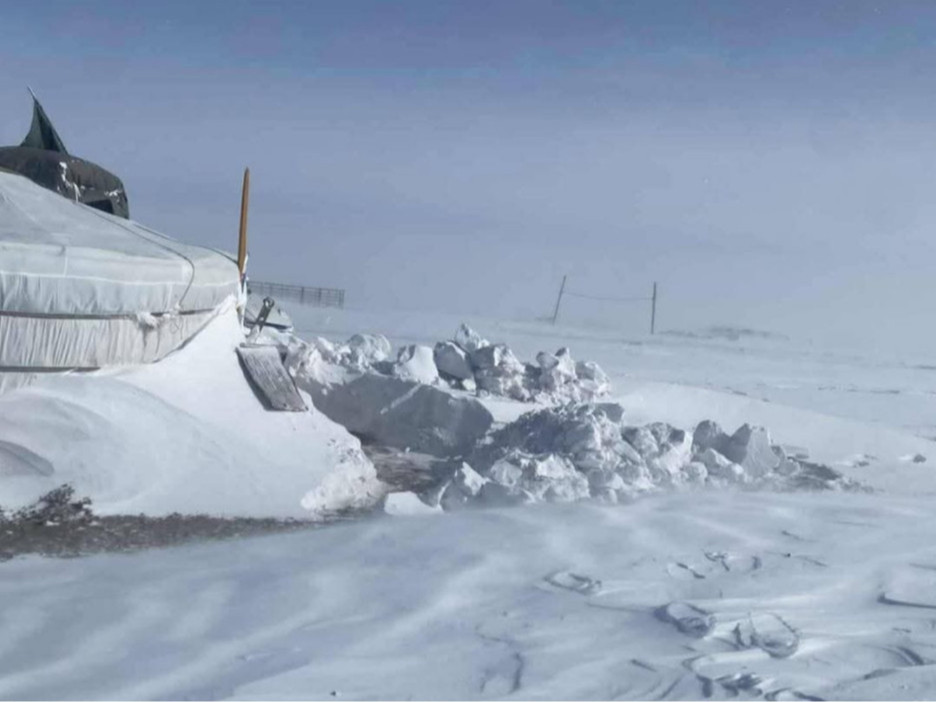 Дорнод аймагт цасан уруудсан 43 мянга гаруй малаас 24 мянга нь олдоогүй хэвээр байна