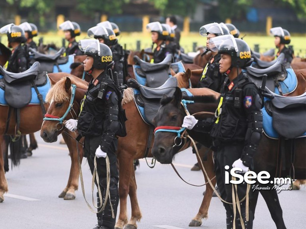 Вьетнамд үүрэг гүйцэтгэж буй монгол морьдыг тавдугаар сард эх оронд нь авчирч, ижил сүрэгт нь нийлүүлнэ