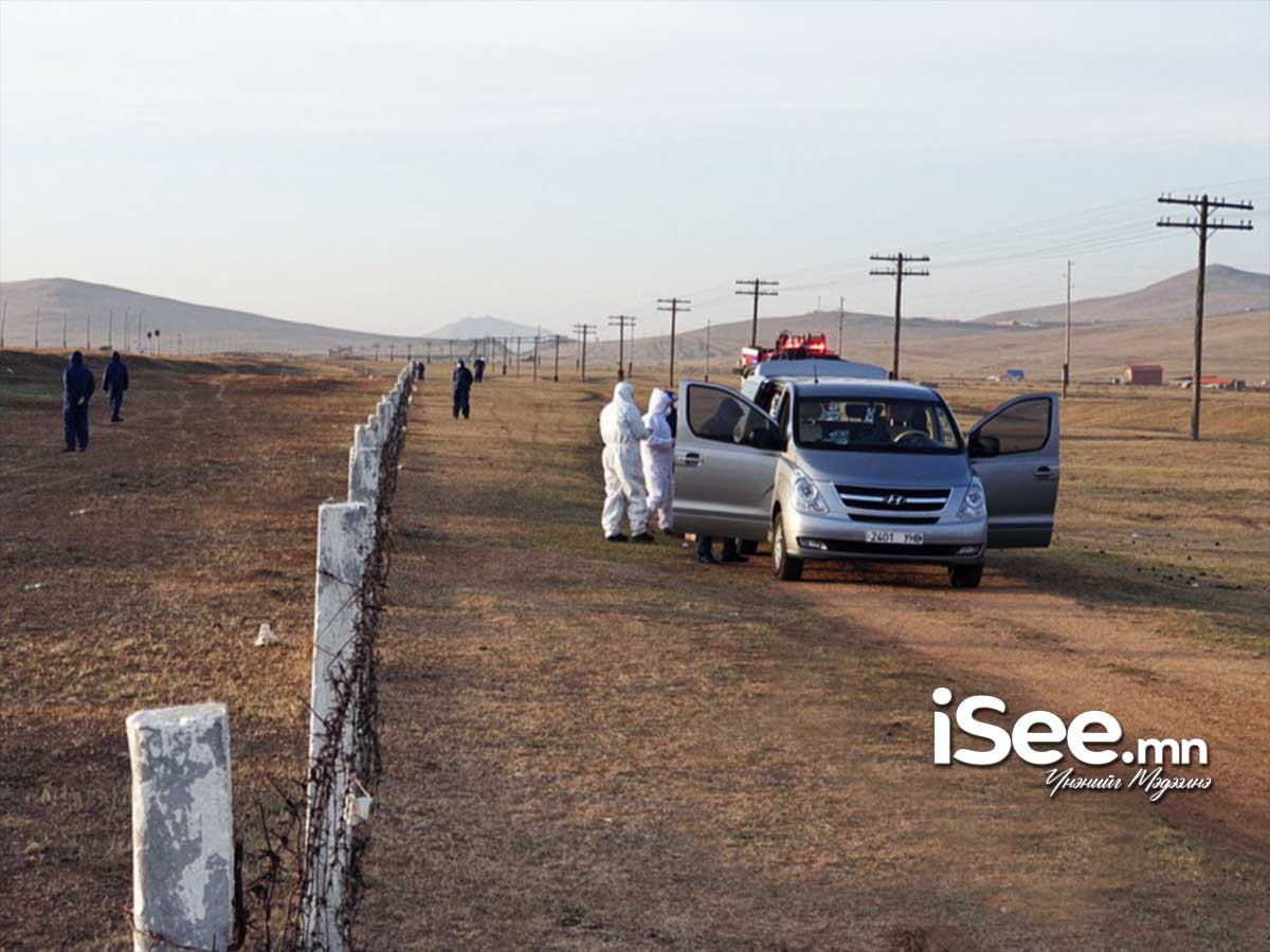 Төв аймгийн Сэргэлэн суманд малын шүлхий өвчин гарсан тул өндөржүүлсэн бэлэн байдал зарлажээ