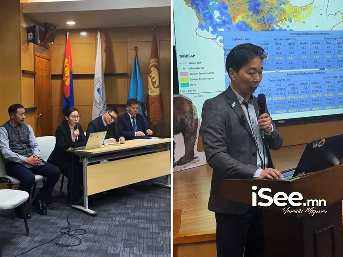 Богдхан уулын орчимд стандартын бус хашаанаас болж 44 зэрлэг амьтан хорогдож, 800 орчим амьтныг авран хамгаалжээ