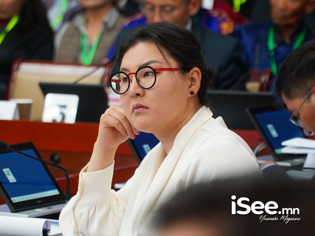УИХ-ын гишүүн Э.Болормааг эрүүгийн хэрэг хянан шийдвэрлэх ажиллагаанд саад учруулахгүй байх үүднээс хилийн хориг тавьжээ
